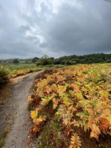 path forward; sustainable path; journey; learning; unlearning